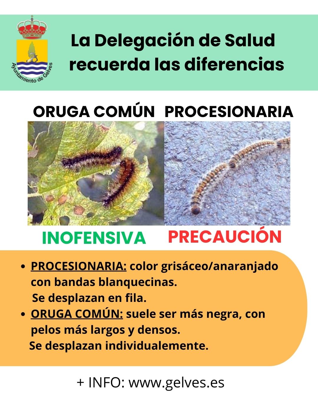 WhatsApp Image 2026-02-16 at 10.02.08