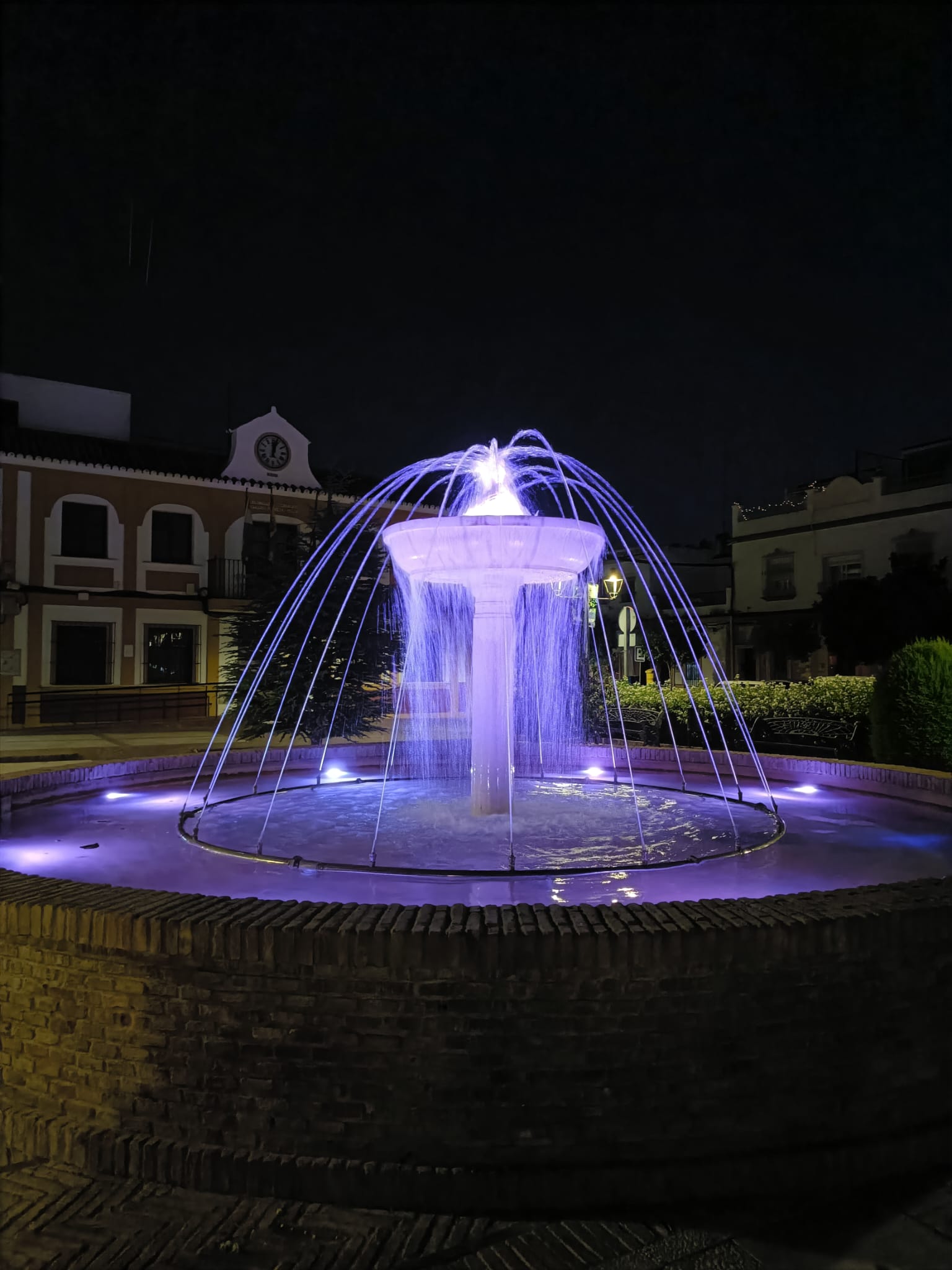 Fuente morada