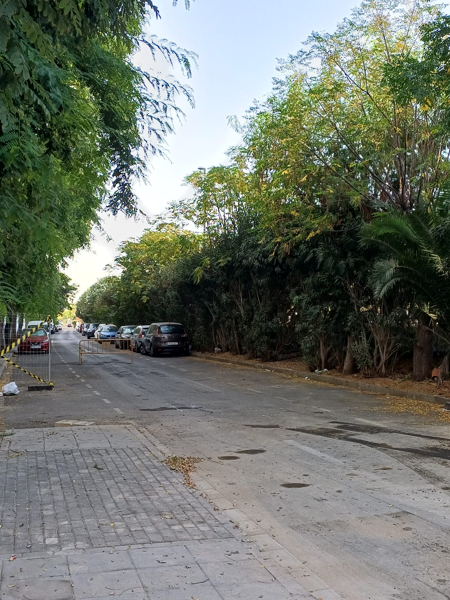 OBRA ALJARAFESA PUERTO GELVES 2026 (2)