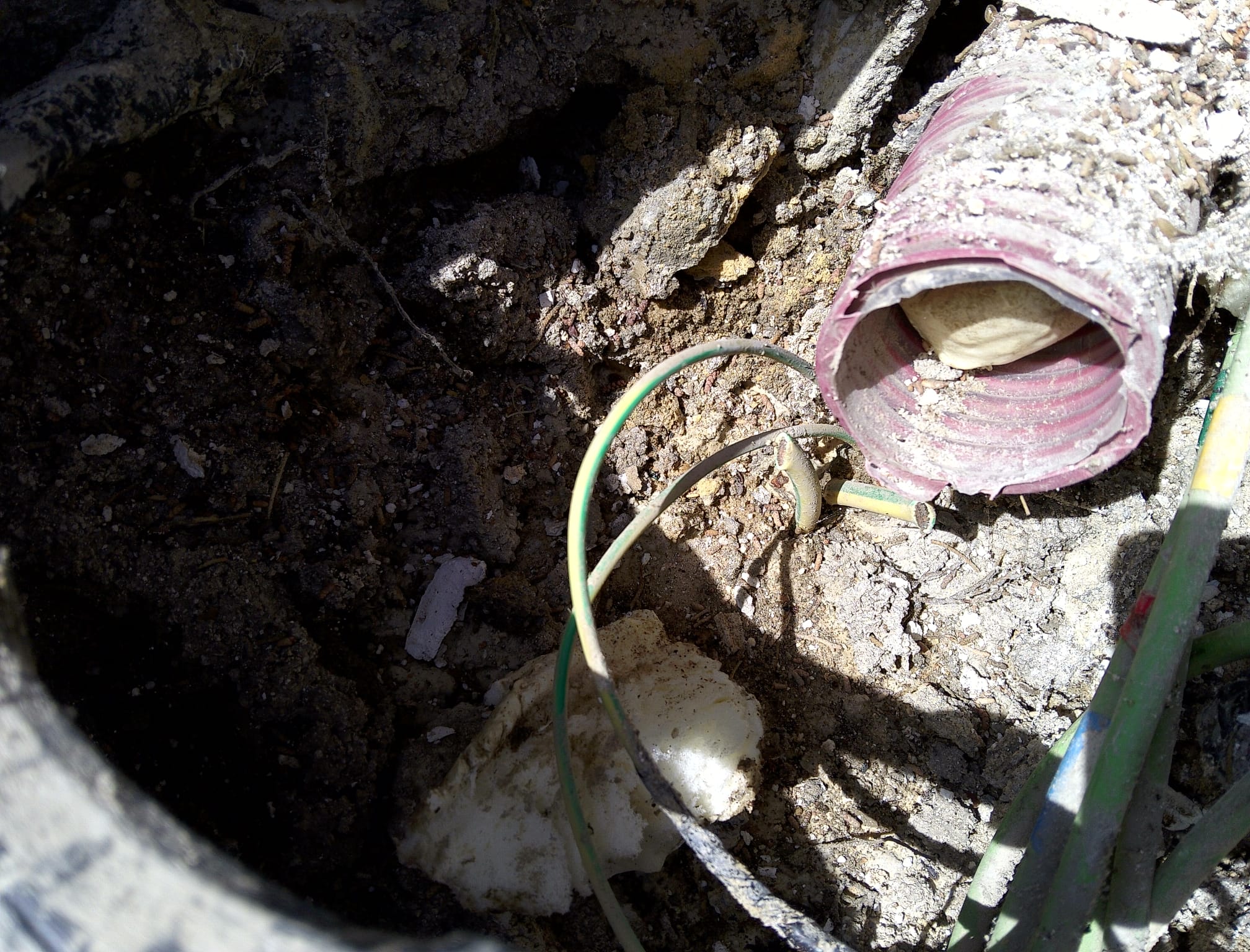 WhatsApp Image 2024-06-06 at 08.54.26