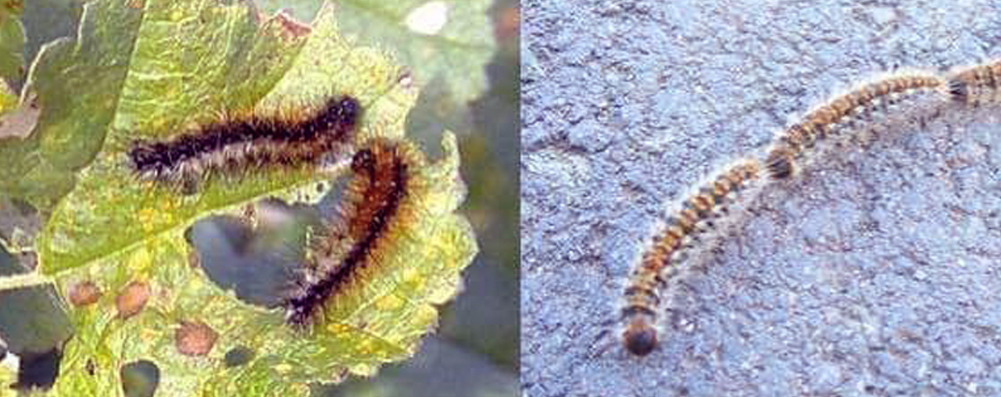 WhatsApp Image 2025-02-12 at 12.39.21