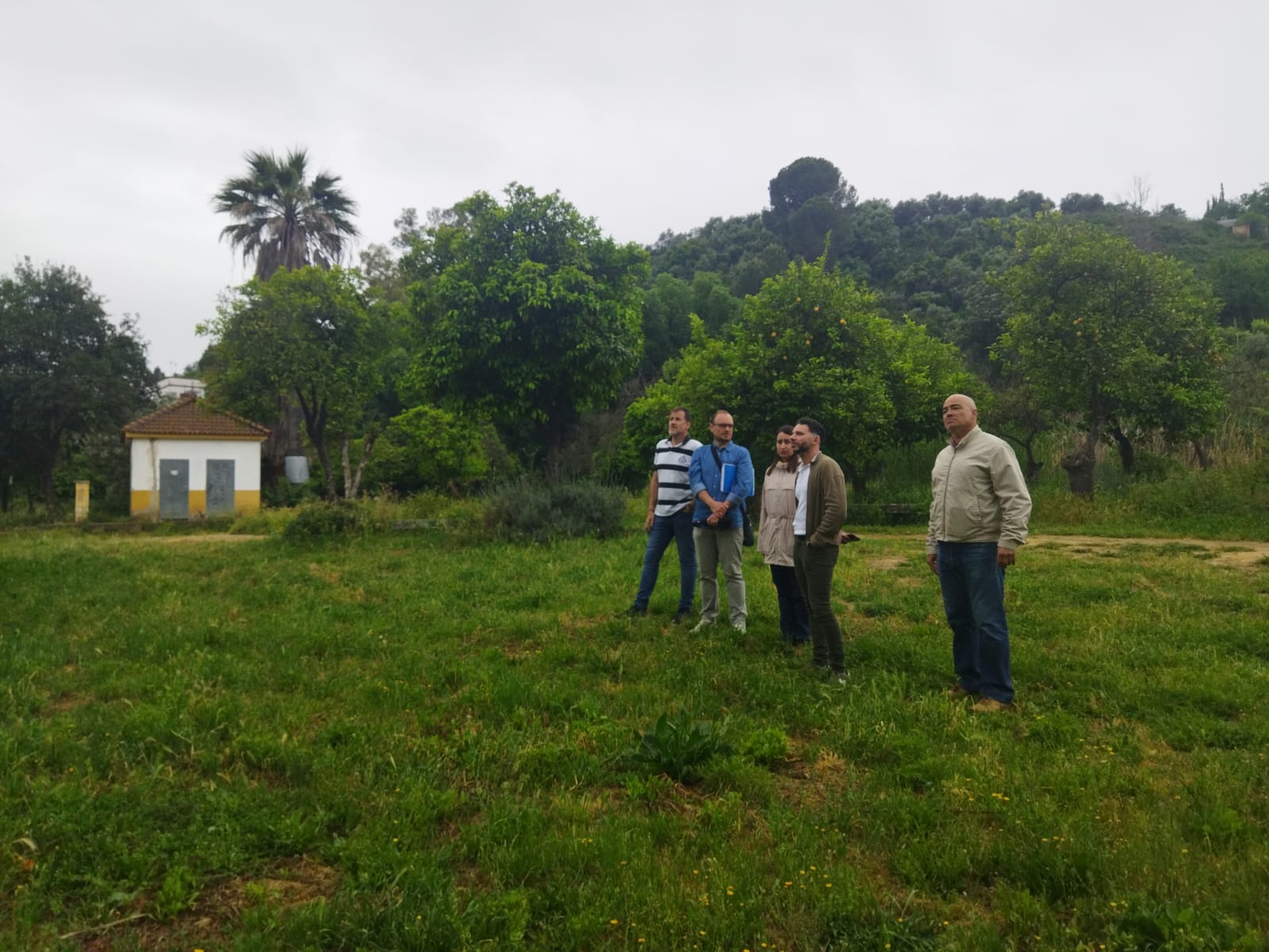 WhatsApp Image 2025-05-13 at 09.08.35