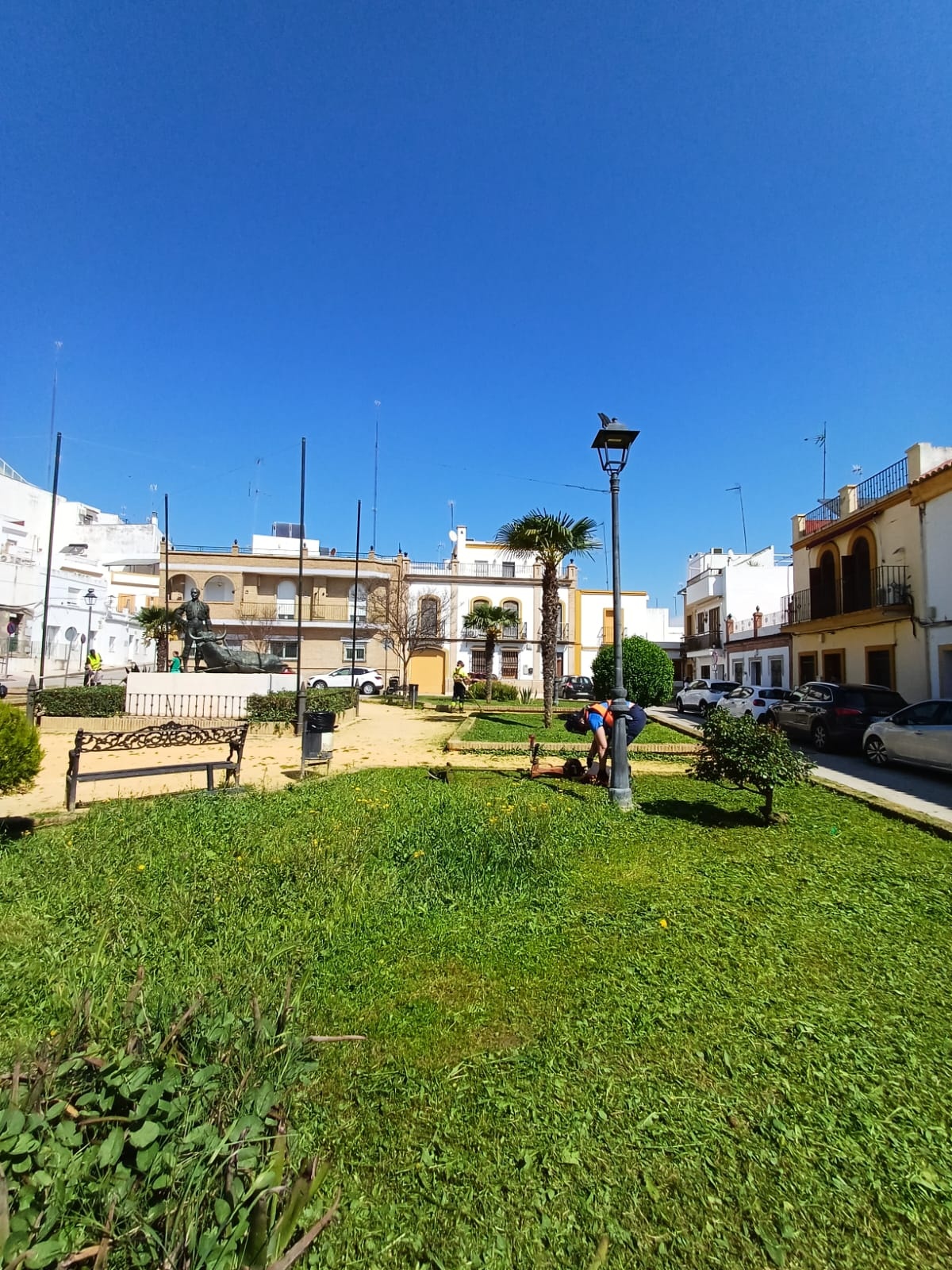 desbroce y limpieza jardineria 4º semana marzo 26 (22)