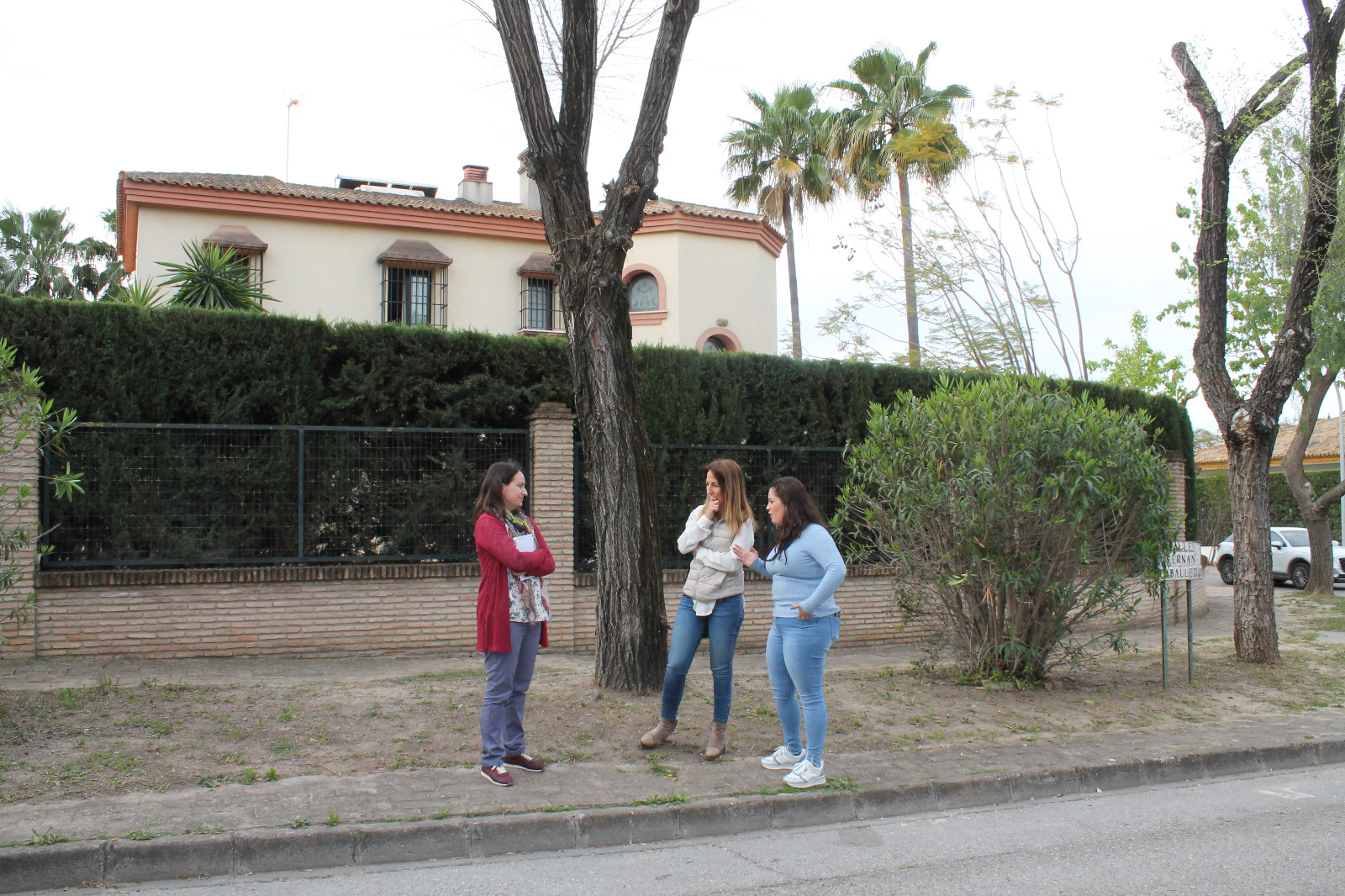 inicio plan simon verde portada