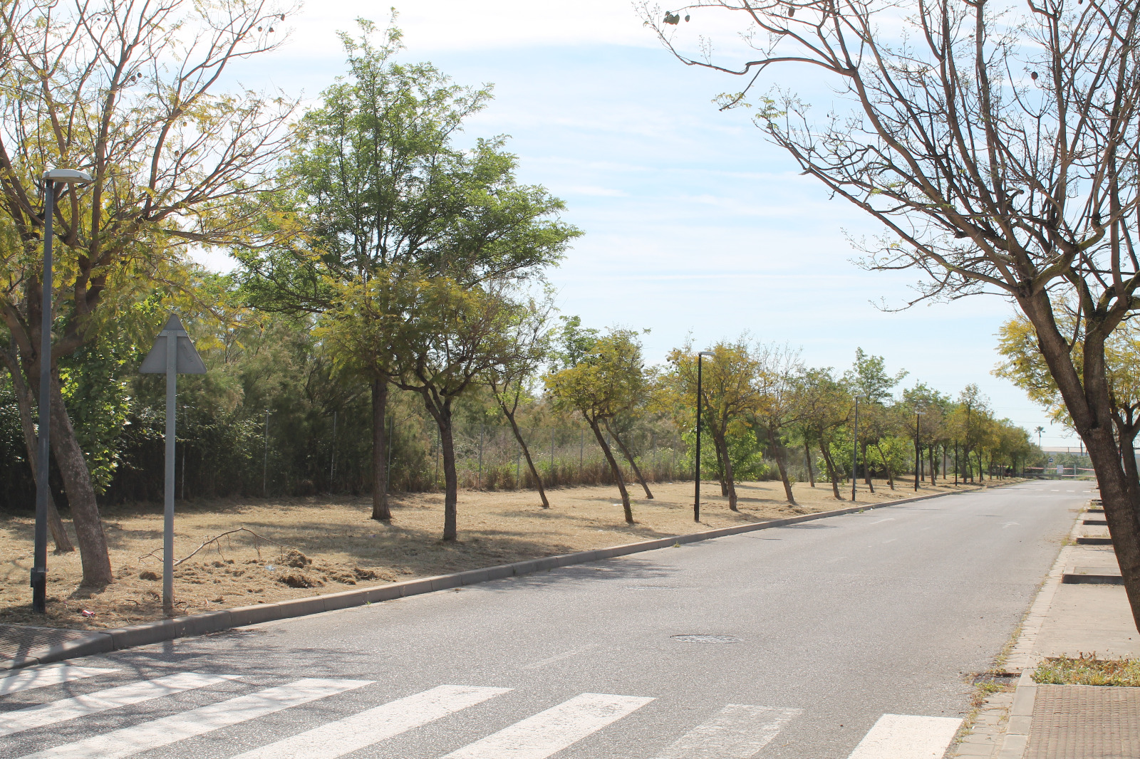 jardineria 2ª semana abril 26 (7)