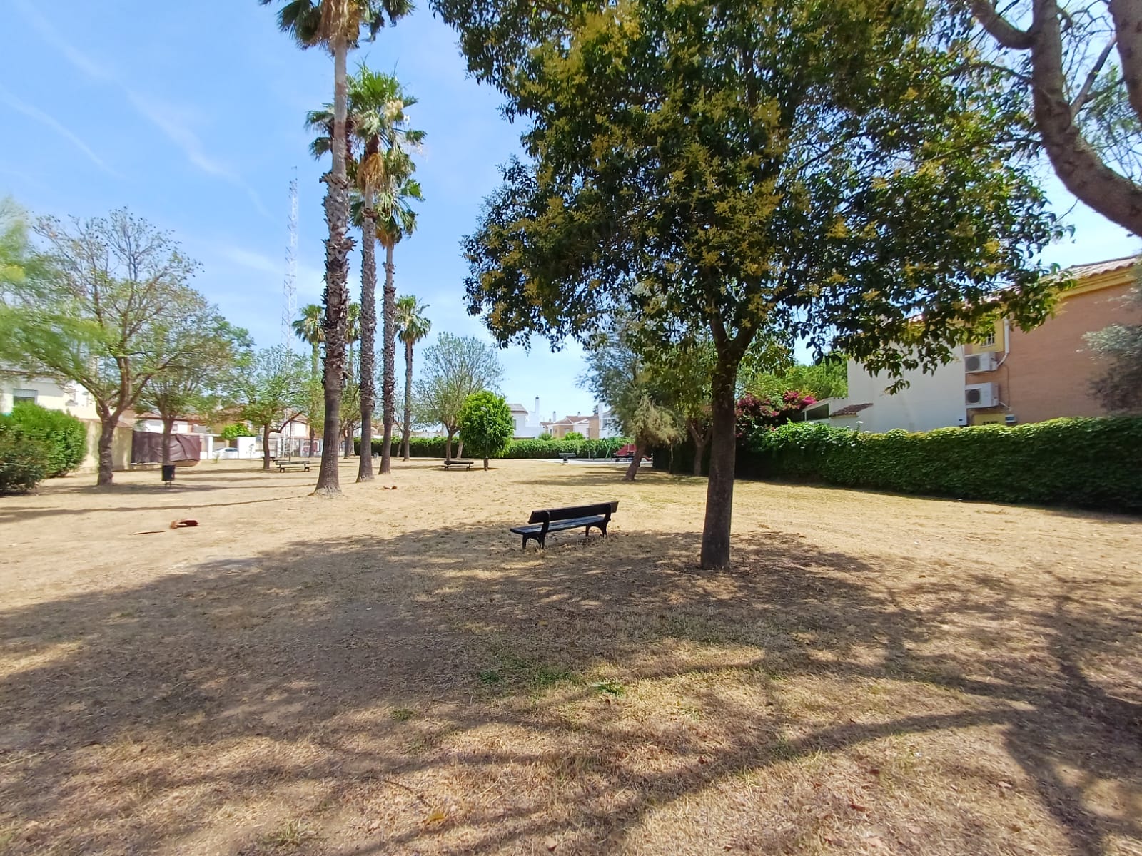 trabajos jardineria gelves junio 2026-3 (11)