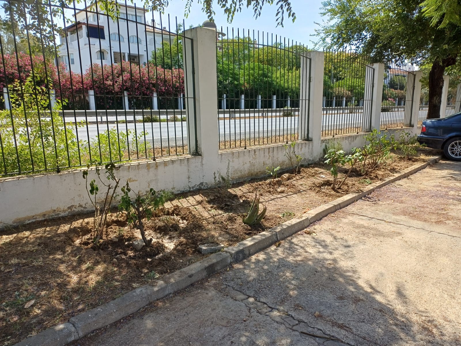trabajos jardineria gelves junio 2026-3 (17)