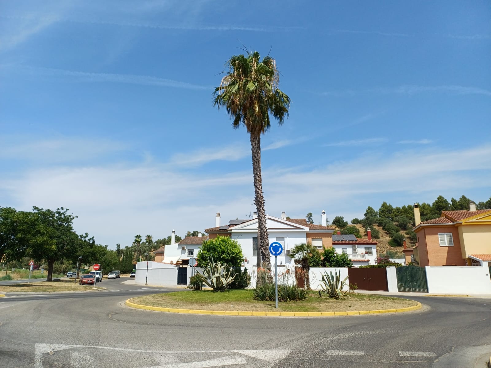 trabajos jardineria gelves junio 2026-3 (7)