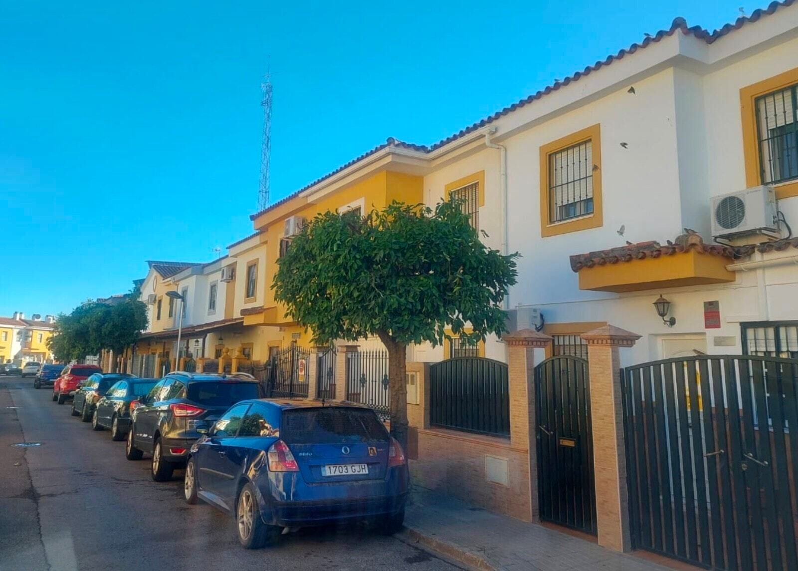 Poda calles gelves 2