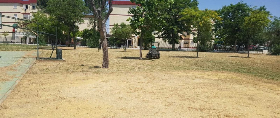 adecentamiento cole 1