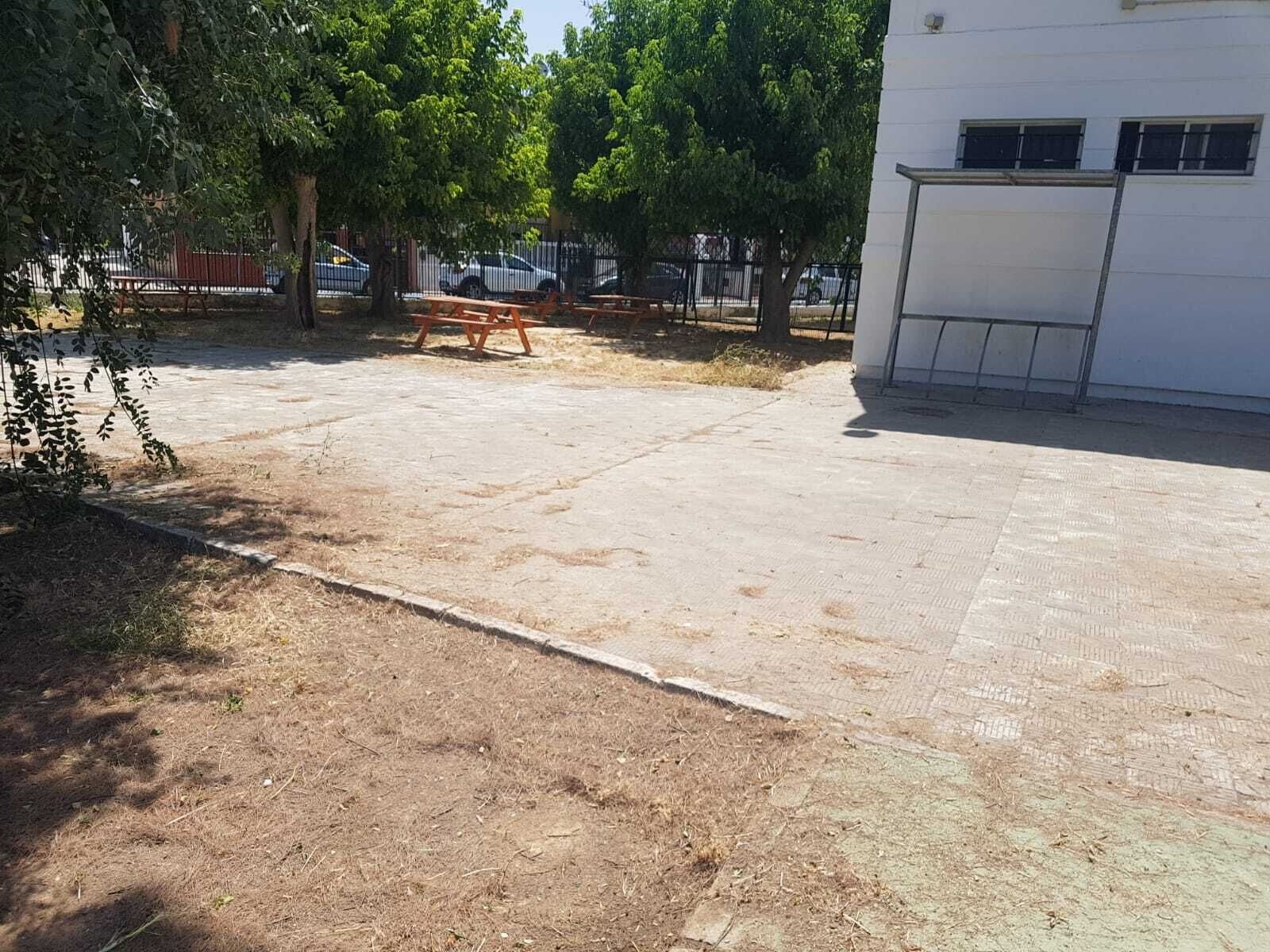 adecentamiento cole 2