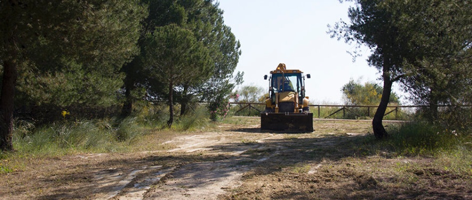 cortafuegos gelves 2022-4