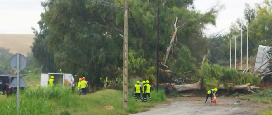 efectos termporal bernard octubre 23 3