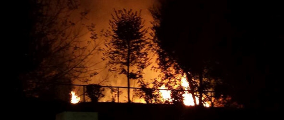 incendio_parque_manantiales_web.jpg