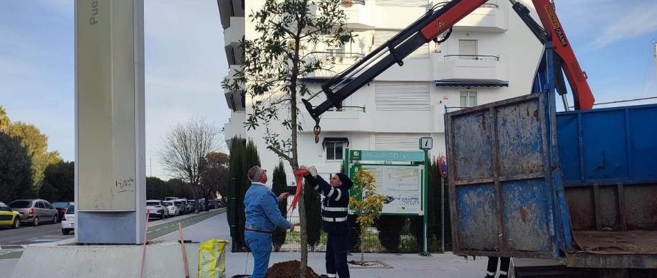 jardineria febrero 25 5