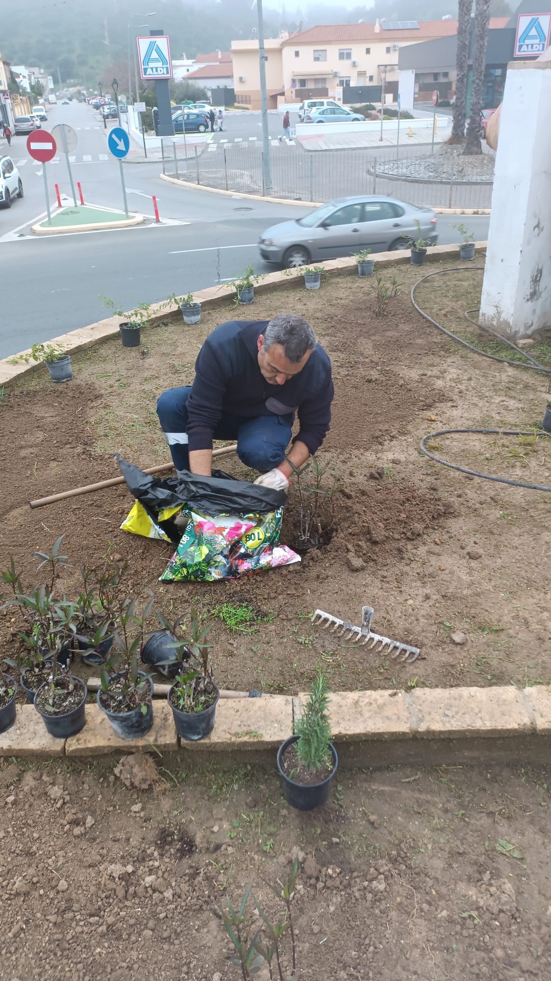 jardineria febrero 25 r1