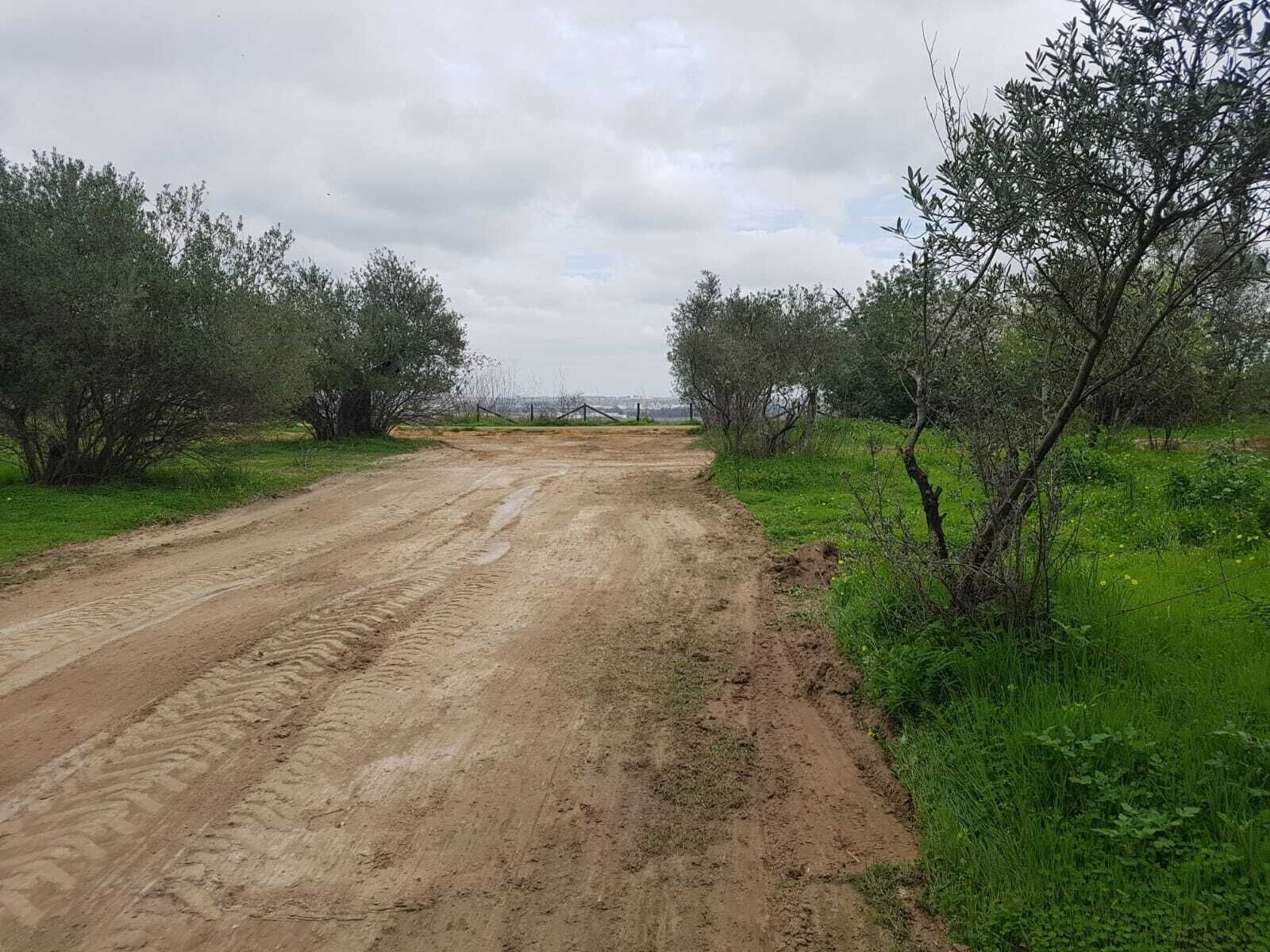 limpieza cortafuego 5