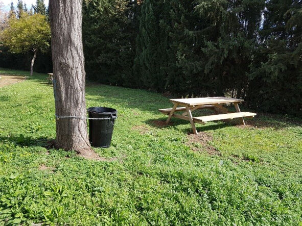 marina gelves merenderos