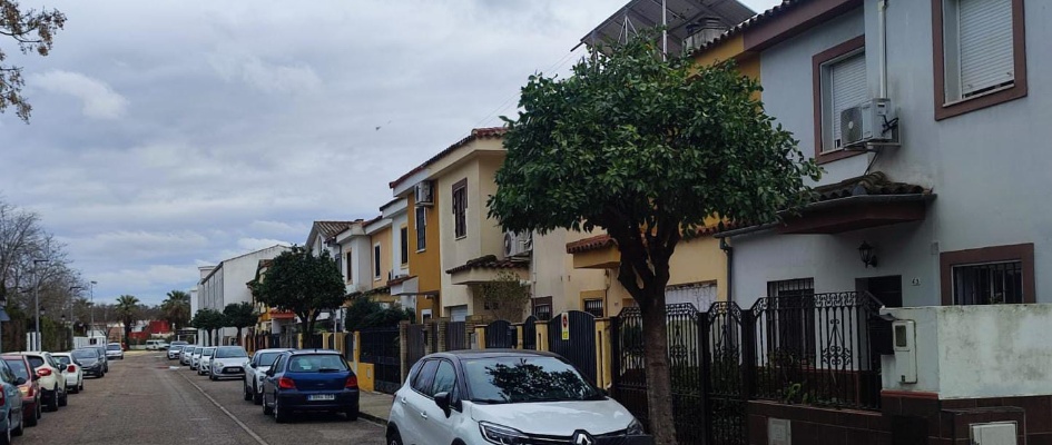 poda maestranza naranjos ok 2