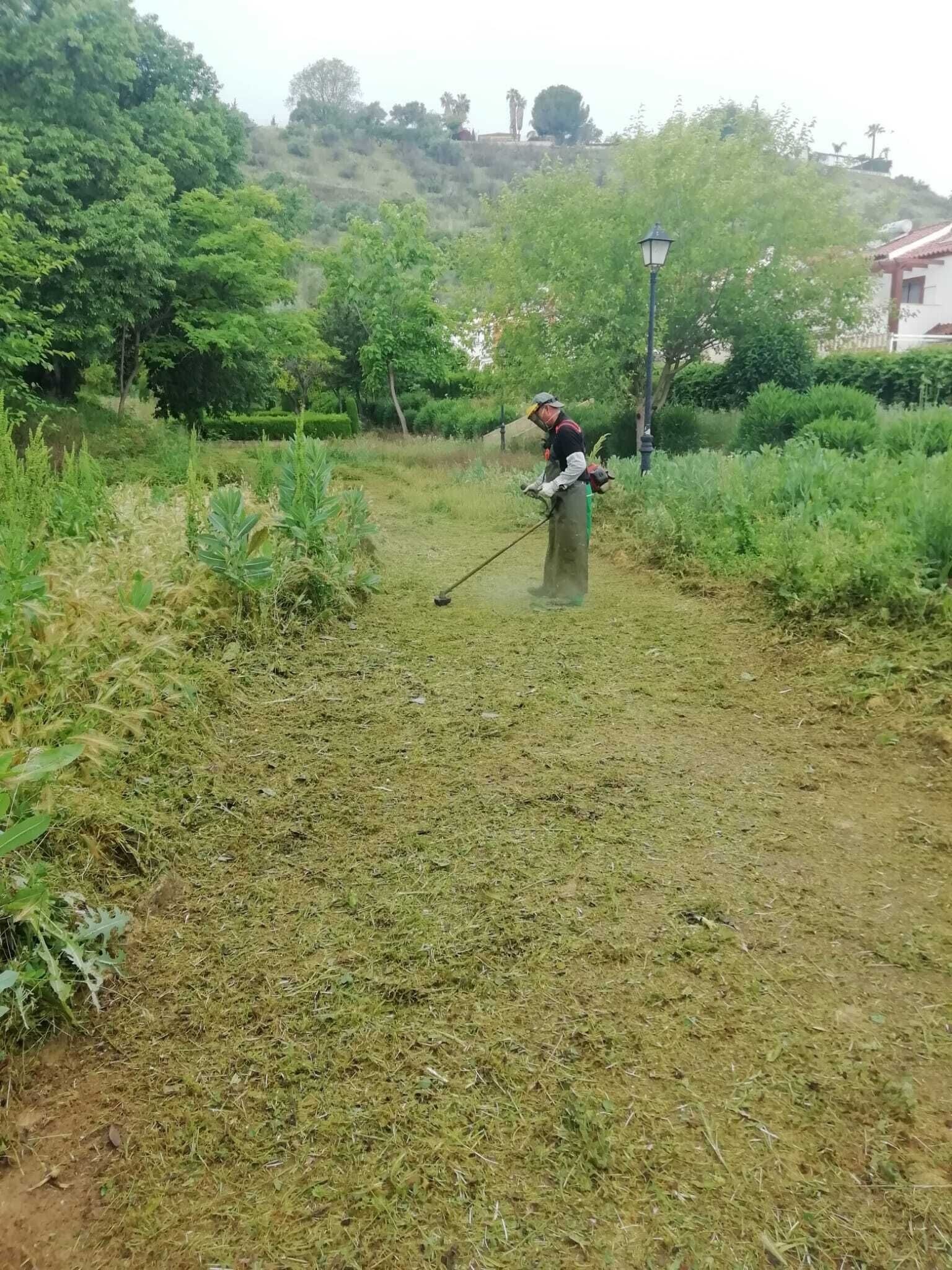 trabajos jardineria 1