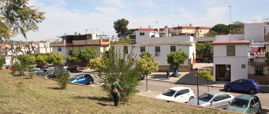 zona verde algarrobo