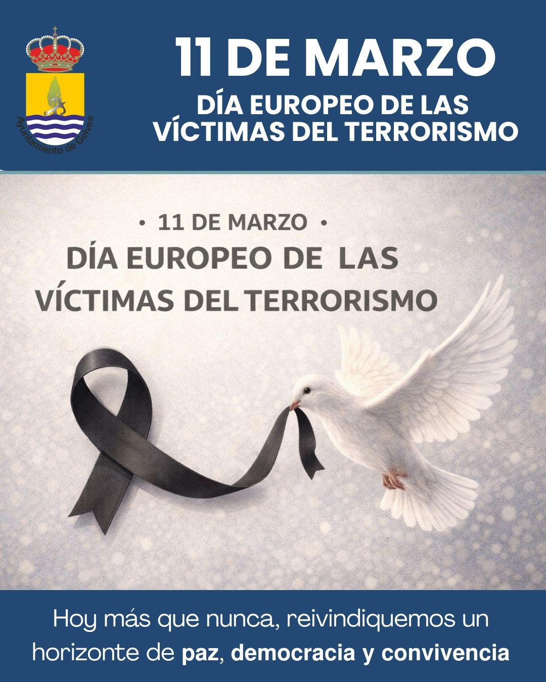 WhatsApp Image 2026-03-11 at 11.47.50