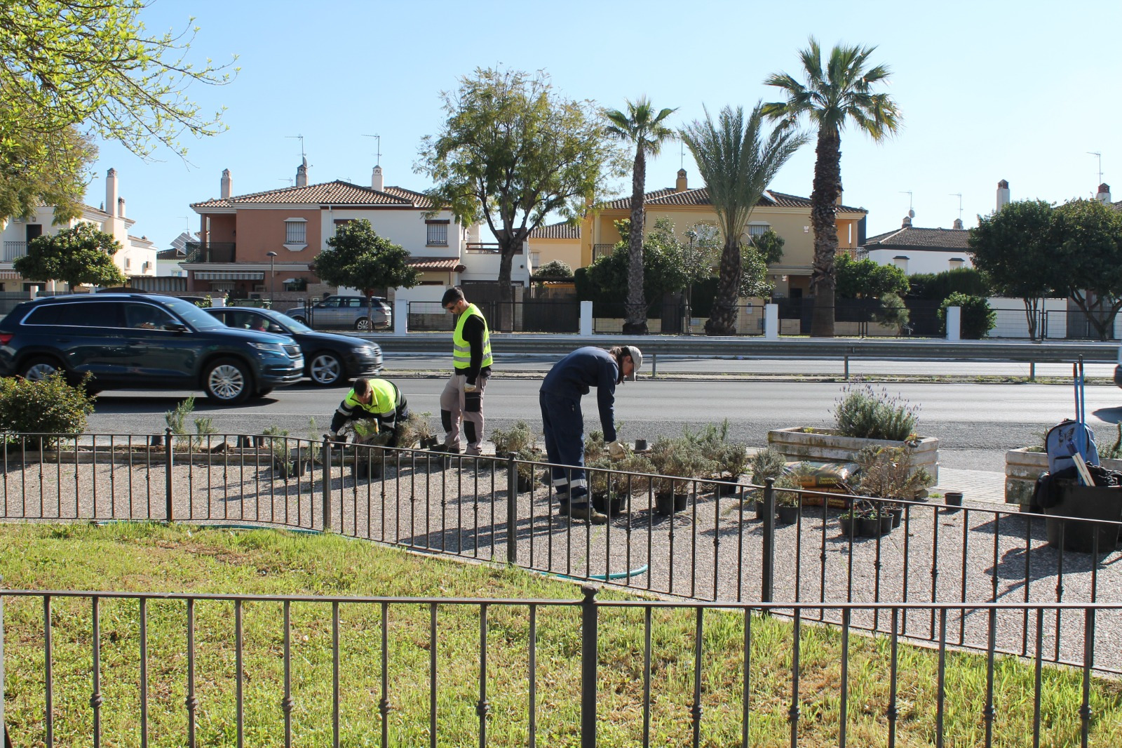 WhatsApp Image 2026-03-13 at 12.13.53