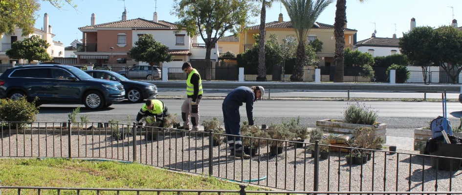 Concluye una nueva fase de siembra de árboles y planta aromáticas por la localidad WhatsApp Image 2026-03-13 at 12.13.53