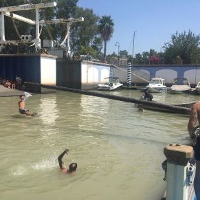 Cucaña de Puerto Gelves