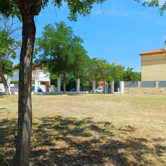 01aba068-a850-467e-914e-c9325bba69ee