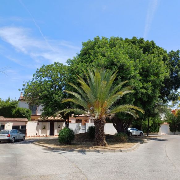 02175f44-3981-4324-bea6-769baa72b566