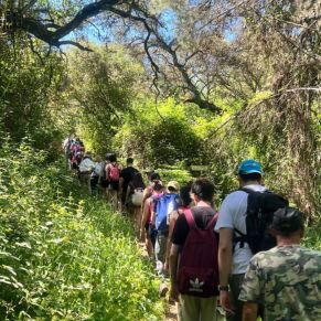 0d4dcd06-438b-4ad9-9f3f-c733f4d70f99