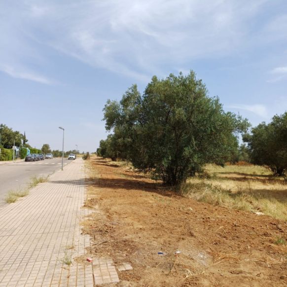 0d8a3655-3759-4c1b-8e51-ef395cbd38cb