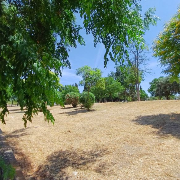 139a165a-e0b5-45a9-94de-d7103c9c2523