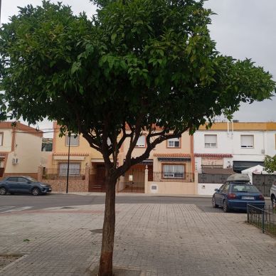 3bea0527-56dd-4499-91b6-80c459162a0f