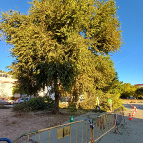 53b234c2-0d9f-4a84-8db2-641d10ff718e