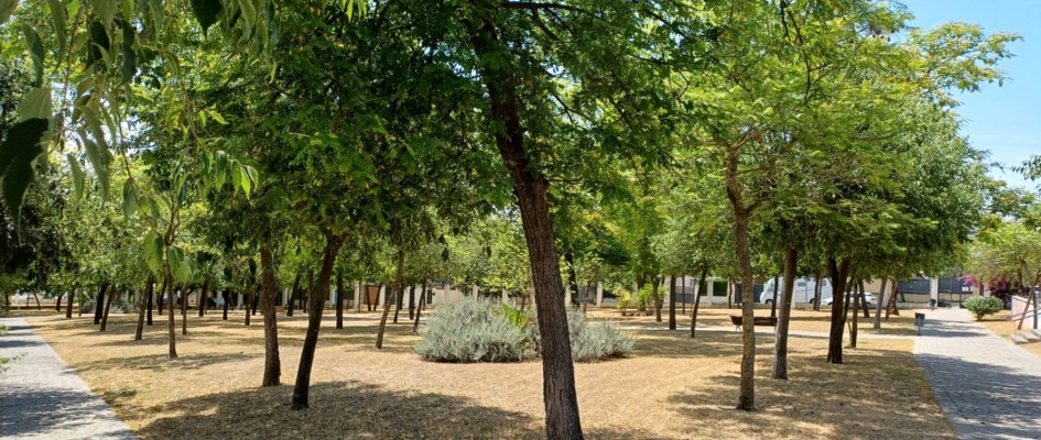 552f3473-9721-49ff-b6ae-28b106e59245