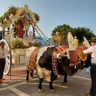 7502fb04-b7f7-43ea-90f8-77d7fefbf6f4