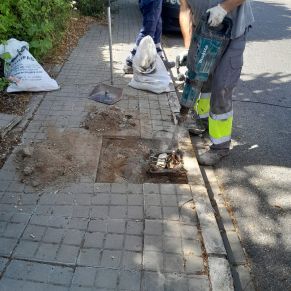 75e39852-3c83-4699-96af-10a8b37cfce0