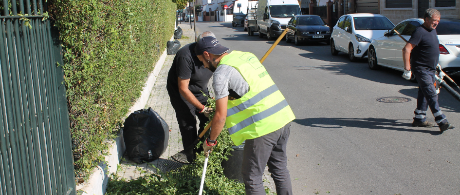 77e6a9e2-28ee-424f-a13e-643817d83e09