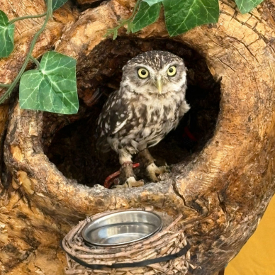 86cef45b-37ef-4fbb-80bf-eb4a1f65bb44