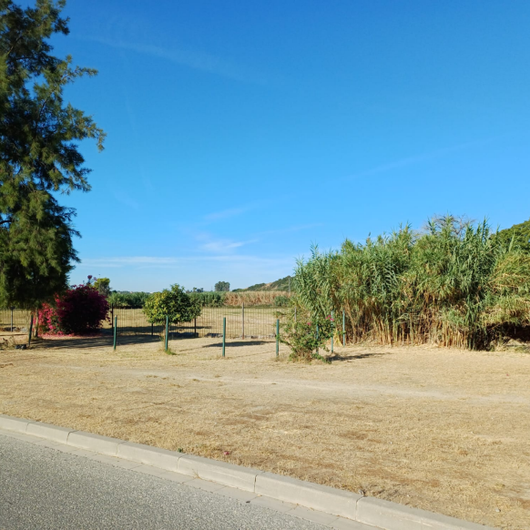 8edd4081-d454-4f7e-8934-5e3ed408cd16