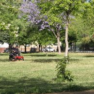 COLEGIO