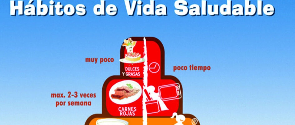 HABITOS VIDA SALUDABLE p