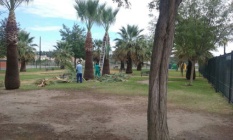 terraplén barrionuevo 1w