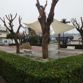 MARINA GELVES PLAZA 2