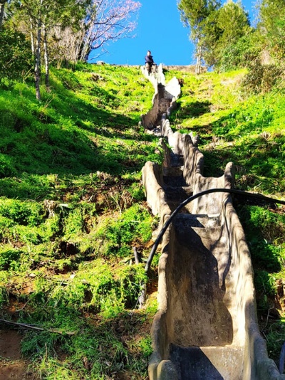 Manantiales_ 11 03 2019 w