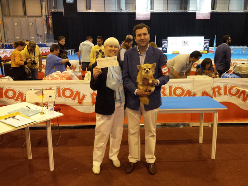 Martina Campeona 2015 web