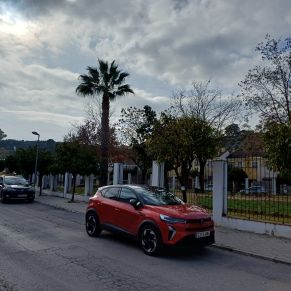 NARANJOS CALLES SEVILLA 1