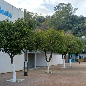 NARANJOS POLIDEPORTIUVO 2